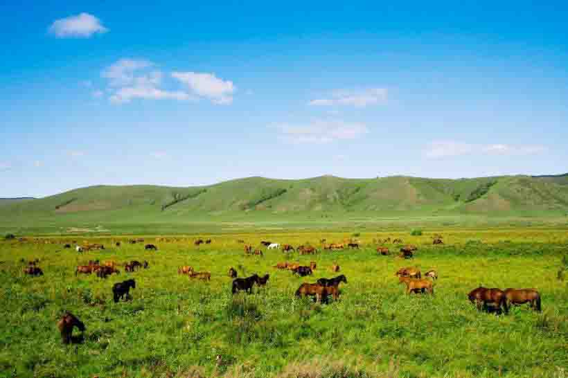草原生态系统——草原生态系统的可持续利用
